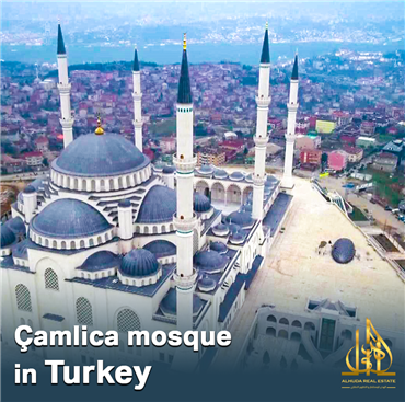 معلومات مهمة القطاع الزراعي في تركيا