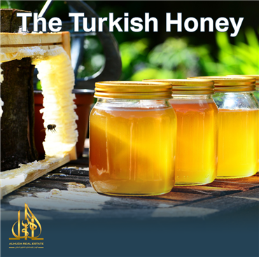 العسل التركي.. أجود أنواع العسل في العالم