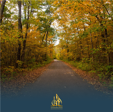 هل زرت غابات بلغراد في اسطنبول من قبل