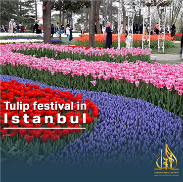 مهرجان التوليب في اسطنبول