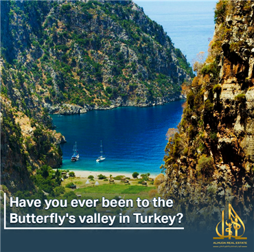 هل يحق للفلسطينين حملة الوثائق تملك عقار في تركيا؟